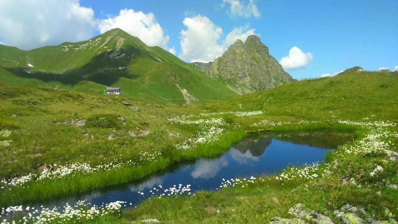 Alpenherz Apartments St. Gallenkirch Zewnętrze zdjęcie